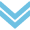 Large download arrow Large download arrow